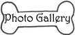 Photo Gallery