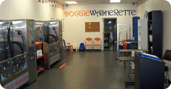 Interior Doggie Washerette